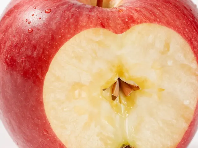 Jak se jmenují zuby a k čemu vlastně slouží?